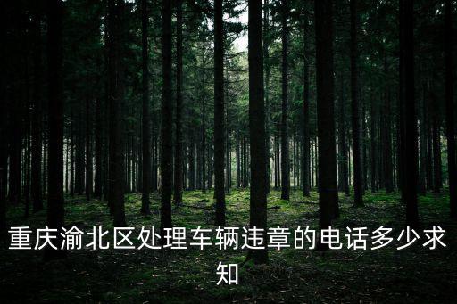 重慶渝北區處理車輛違章的電話多少求知