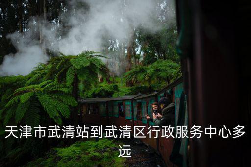 天津市武清站到武清區行政服務中心多遠