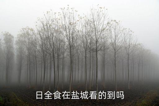 日全食在鹽城看的到嗎
