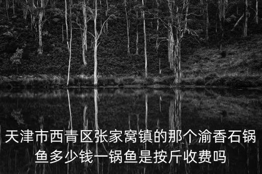 天津市西青區張家窩鎮的那個渝香石鍋魚多少錢一鍋魚是按斤收費嗎