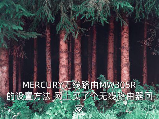 MERCURY無線路由MW305R的設(shè)置方法 網(wǎng)上買了個無線路由器回家