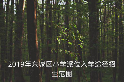 2019年東城區小學派位入學途徑招生范圍