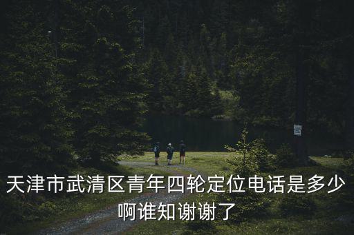 天津市武清區青年四輪定位電話是多少啊誰知謝謝了