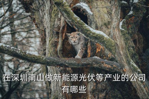 在深圳南山做新能源光伏等產業的公司有哪些