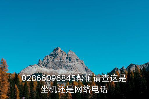 02866096845幫忙請查這是坐機還是網絡電話