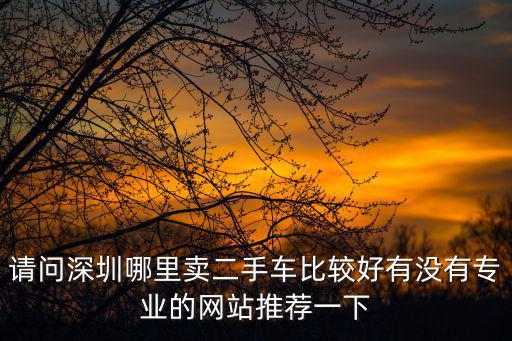 請問深圳哪里賣二手車比較好有沒有專業的網站推薦一下