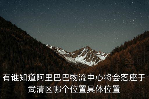 有誰(shuí)知道阿里巴巴物流中心將會(huì)落座于武清區(qū)哪個(gè)位置具體位置