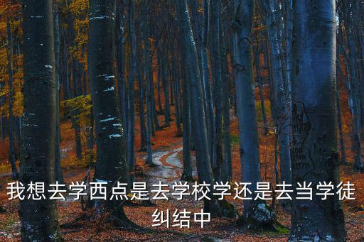 我想去學西點是去學校學還是去當學徒糾結(jié)中