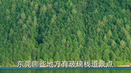 東莞哪些地方有玻璃棧道景點(diǎn)