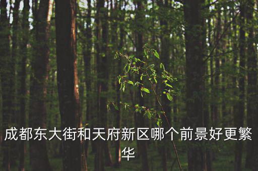 天府新區(qū)比較成都市區(qū)，成都東大街和天府新區(qū)哪個前景好更繁華