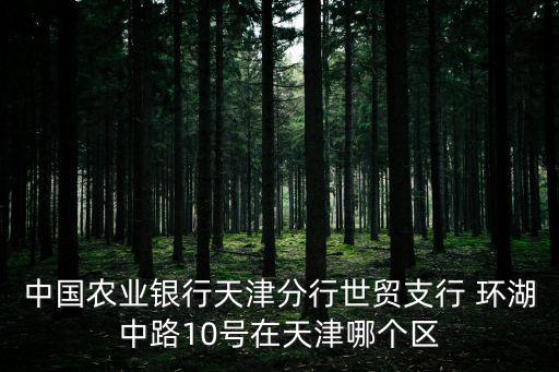 中國農業銀行天津市分行世貿支行 藍水支行 張海峰，中國農業銀行天津分行世貿支行 環湖中路10號在天津哪個區