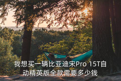 我想買一輛比亞迪宋Pro 15T自動精英版全款需要多少錢