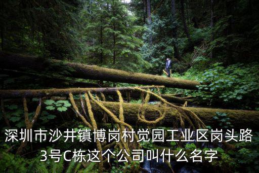 深圳市頓佳實(shí)業(yè)有限公司，深圳市沙井鎮(zhèn)博崗村覺(jué)園工業(yè)區(qū)崗頭路3號(hào)C棟這個(gè)公司叫什么名字