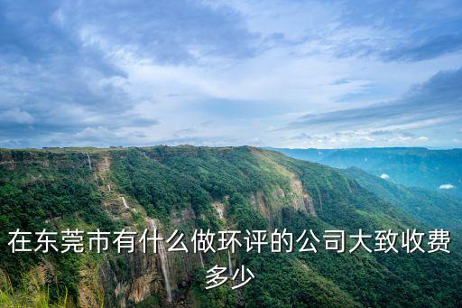 在東莞市有什么做環評的公司大致收費多少