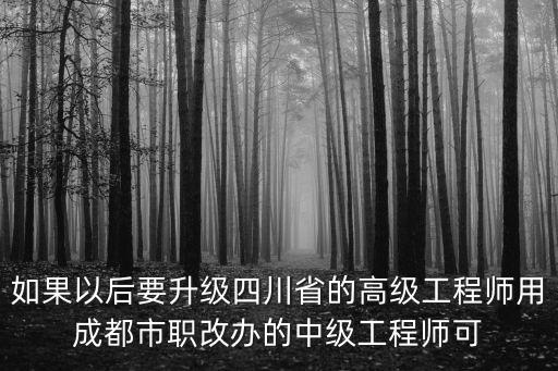 如果以后要升級四川省的高級工程師用成都市職改辦的中級工程師可