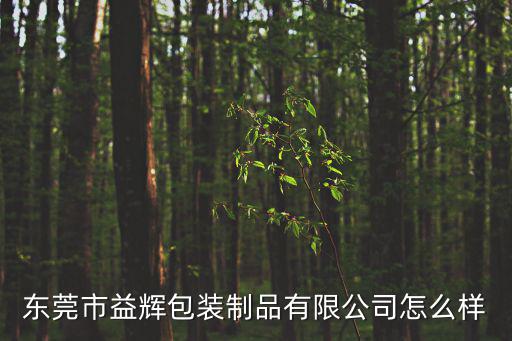 東莞益輝包裝制品有限公司，東莞哪里批發香蕉珍珠棉套袋