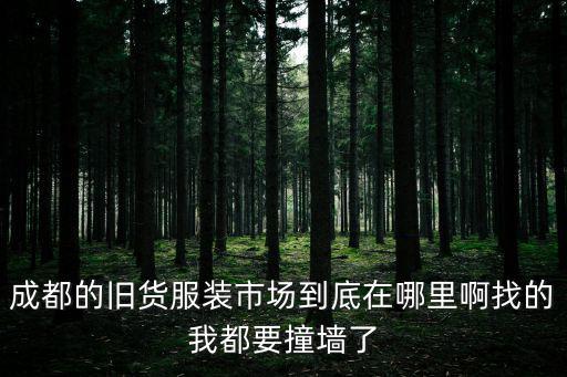 成都市舊服裝市場，成都哪里舊衣服賣