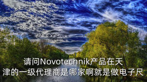 請問Novotechnik產品在天津的一級代理商是哪家啊就是做電子尺