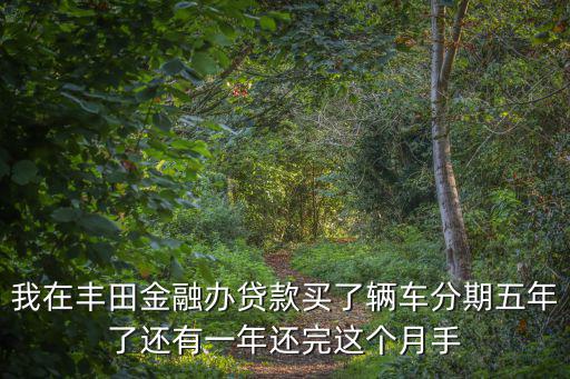 我在豐田金融辦貸款買了輛車分期五年了還有一年還完這個月手