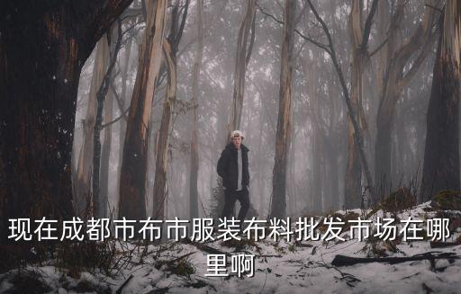 現在成都市布市服裝布料批發市場在哪里啊