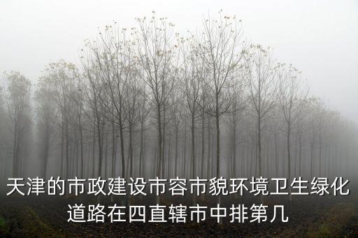 天津的市政建設市容市貌環境衛生綠化道路在四直轄市中排第幾