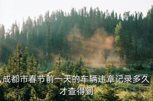 成都市春節前一天的車輛違章記錄多久才查得到