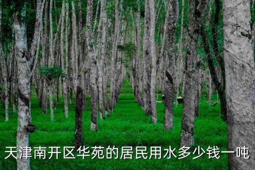 天津市居民熱水多少錢一噸，天津居民用水的水價是多少