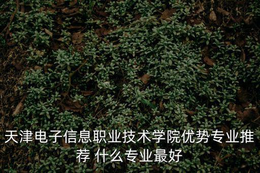 天津電子信息職業技術學院優勢專業推薦 什么專業最好