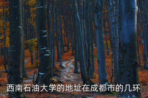 成都市新都區屬幾環，西南石油大學的地址在成都市的幾環