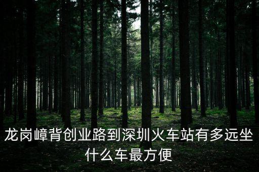 龍崗嶂背創業路到深圳火車站有多遠坐什么車最方便