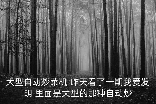 大型自動炒菜機 昨天看了一期我愛發(fā)明 里面是大型的那種自動炒