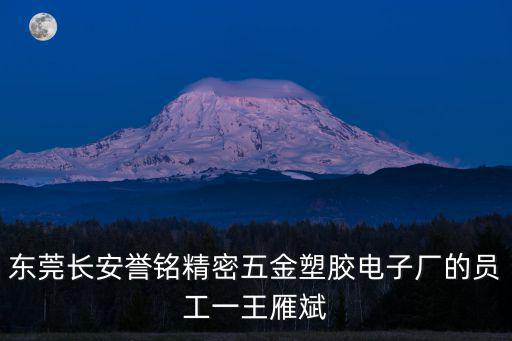 東莞長安譽銘精密五金塑膠電子廠的員工一王雁斌