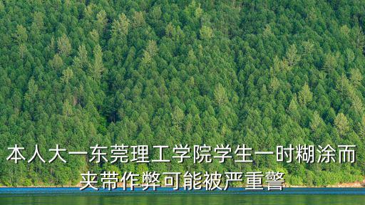 本人大一東莞理工學院學生一時糊涂而夾帶作弊可能被嚴重警