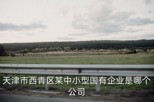 天津市西青區某中小型國有企業是哪個公司