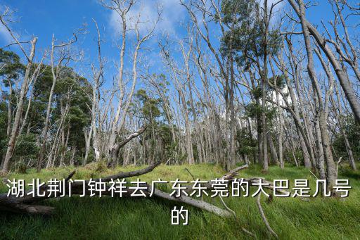 湖北荊門鐘祥去廣東東莞的大巴是幾號的
