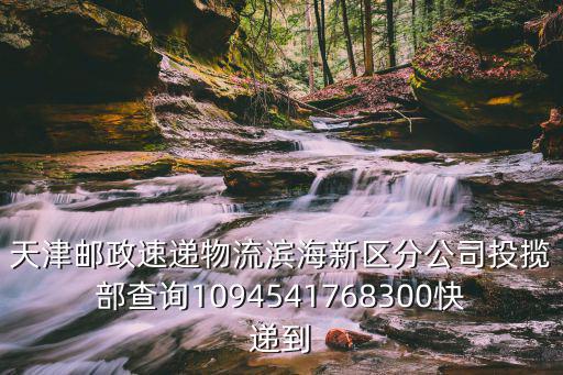天津郵政速遞物流濱海新區分公司投攬部查詢1094541768300快遞到