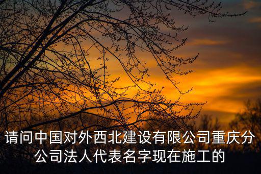請問中國對外西北建設有限公司重慶分公司法人代表名字現在施工的