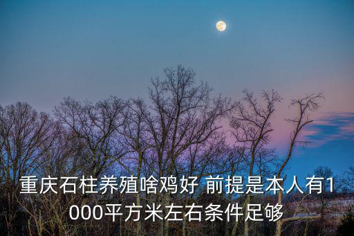 重慶石柱養(yǎng)殖啥雞好 前提是本人有1000平方米左右條件足夠