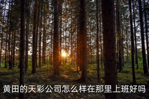 深圳天彩電子怎么樣，深圳天彩SKYPIX電話誰知道