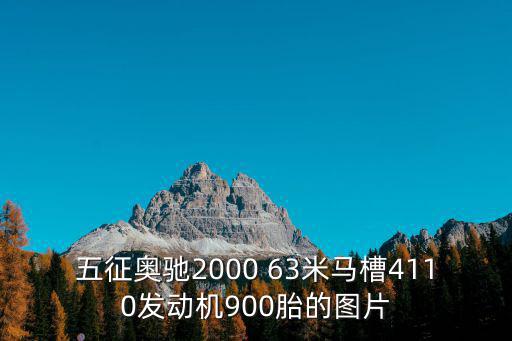 五征奧馳2000 63米馬槽4110發動機900胎的圖片