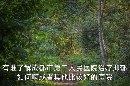 有誰了解成都市第二人民醫(yī)院治療抑郁如何啊或者其他比較好的醫(yī)院