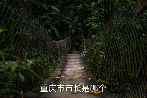 重慶市2010年市長(zhǎng)是誰(shuí)，重慶市市長(zhǎng)是誰(shuí)啊叫什么啊