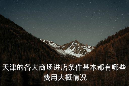 天津市各大商場收費標準，天津各大商超的花車費用