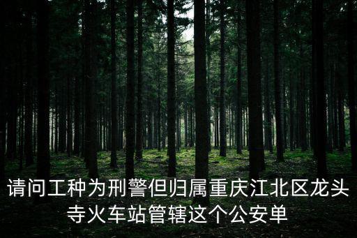 重慶市渝北區龍頭寺派出所，重慶龍頭寺興鑫嘉園屬哪個派出所管轄