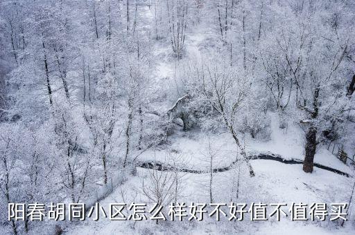 陽春胡同小區怎么樣好不好值不值得買