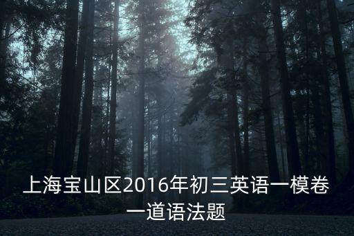 上海寶山區(qū)2016年初三英語(yǔ)一模卷一道語(yǔ)法題
