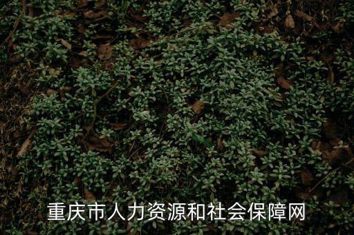 重慶市人力資源和社會(huì)保障網(wǎng)