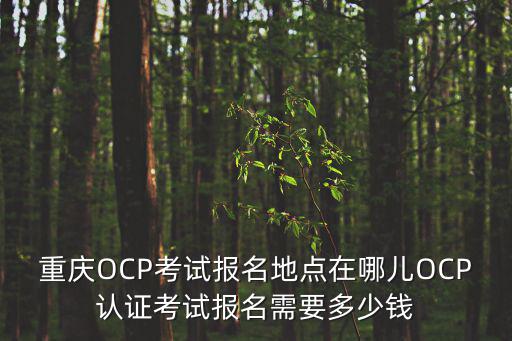 重慶OCP考試報名地點在哪兒OCP認證考試報名需要多少錢