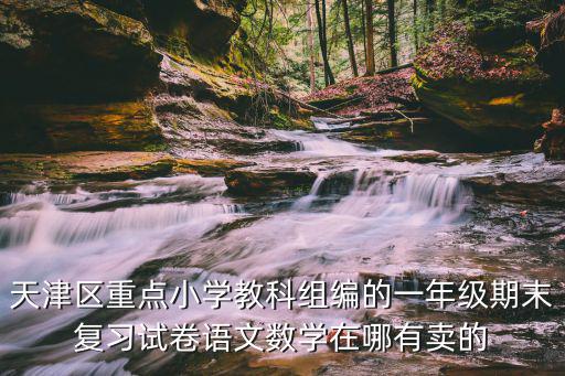 天津區重點小學教科組編的一年級期末復習試卷語文數學在哪有賣的