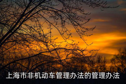 上海市駕駛電動(dòng)自行車規(guī)定，上海的哪些路段禁行電動(dòng)車